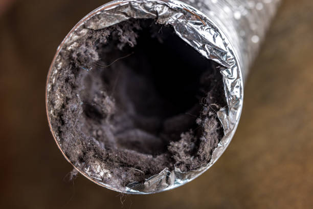 Best Ductwork Cleaning Services  in Comfort, TX